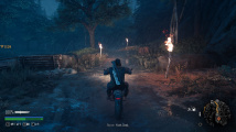 Days Gone PC verze