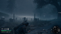 Days Gone PC verze