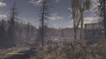 Fallout 4: The Wilderness mode