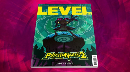 level313