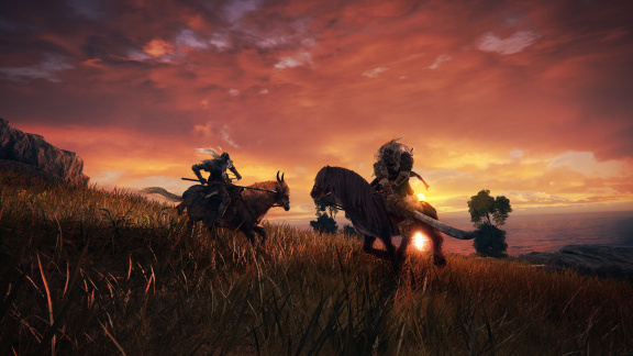 Takhle by vypadal Elden Ring jako izometrická indie hra