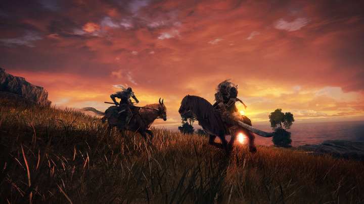 Takhle by vypadal Elden Ring jako izometrická indie hra