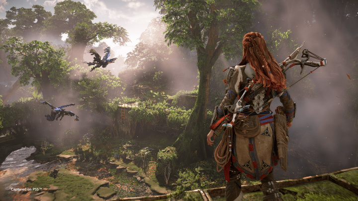 PlayStation Park Horizon zkrášlí Hradec Králové. Vzniku pomáhají sami hráči
