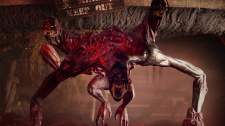 Fallout 76