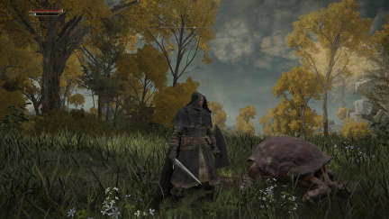 Elden Ring