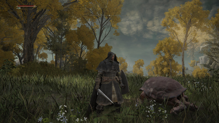 Elden Ring