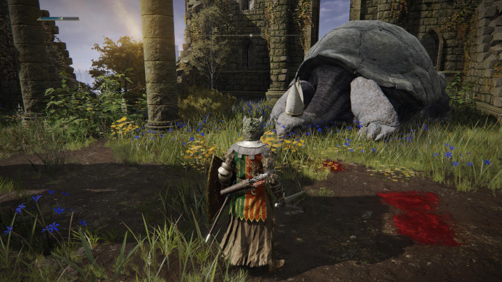 Elden Ring