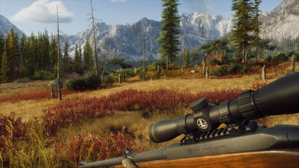 Way of the Hunter – recenze skvělého loveckého simulátoru