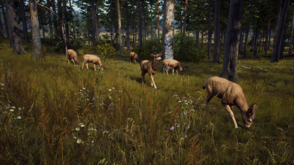 Slovenská lovecká simulace Way of the Hunter ukazuje vaši kořist – krásná zvířátka