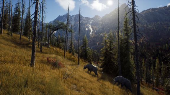 Krásná slovenská lovecká simulace Way of the Hunter dostává brzké datum vydání