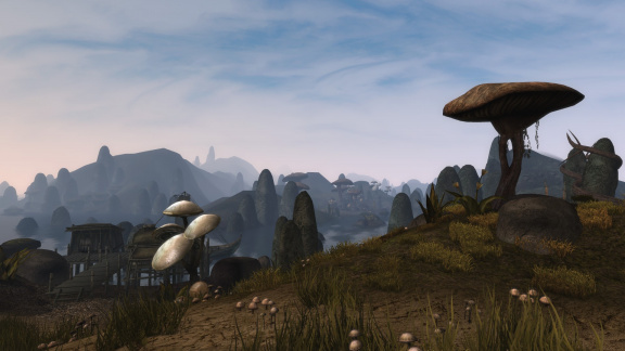 Proč má Morrowind stále co nabídnout i po 20 letech existence?