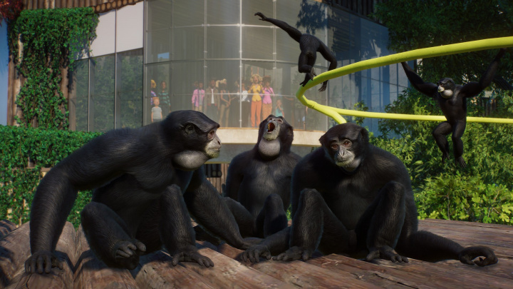 Rosomák, zubr i labuť. Nový update přidává do Planet Zoo nejen nová zvířata