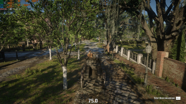 lynx