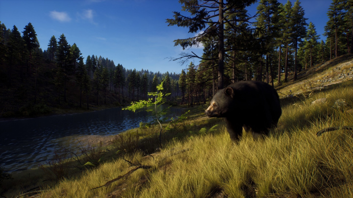 Jsou tady první záběry z hraní lovecké simulace Way of the Hunter