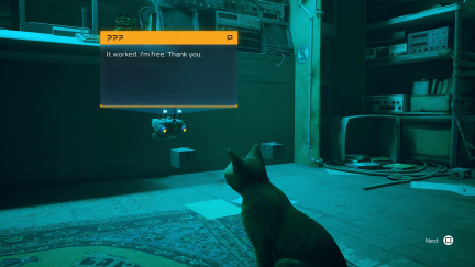 Stray