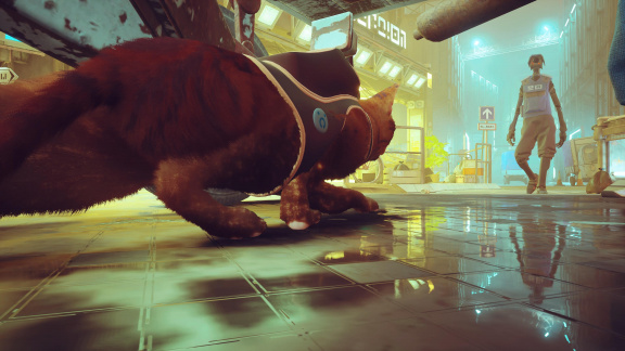 Kočičí adventura Stray míří na Xbox