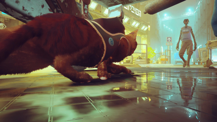 Kočičí adventura Stray míří na Xbox