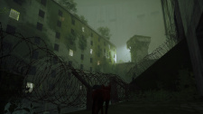 Stray