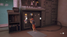 Stray