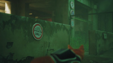 Stray