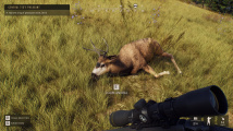 Way of the Hunter