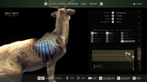 Way of the Hunter