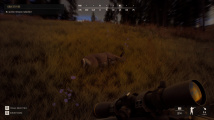 Way of the Hunter