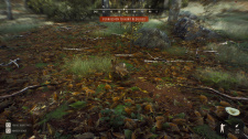 Way of the Hunter