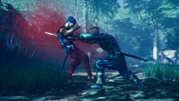 Slovenská šermířská bojovka Die by the Blade stíhá podzim