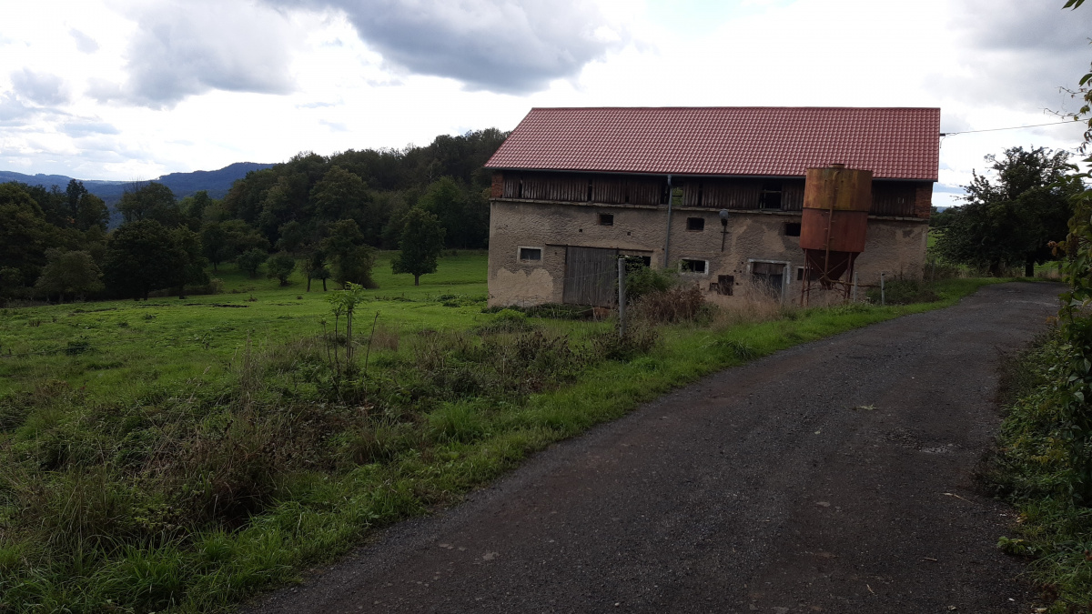 Vydal jsem se do kraje, kde se odehrává DayZ. Jaké jsou rozdíly mezi hrou a realitou?