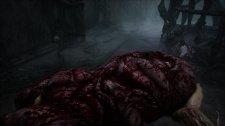 Scorn