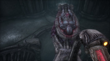 Scorn