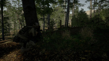 Ground Branch