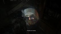 The Last of Us: Part I PC