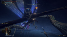 Elden Ring - FPS Mod