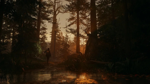 Alan Wake 2 vyjde v říjnu a nabídne dva protagonisty