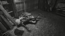 Layers of Fear
