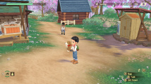 Story of Seasons: A Wonderful Life