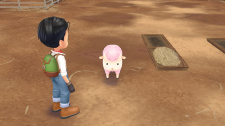 Story of Seasons: A Wonderful Life