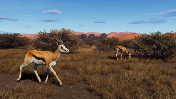 Slovenský lovecký simulátor Way of the Hunter ukazuje zvířata z afrického rozšíření