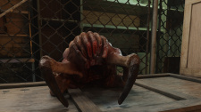 Half-Life 2 RTX