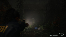 Alan Wake 2