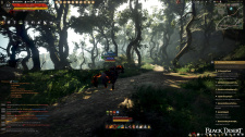 Black Desert Online