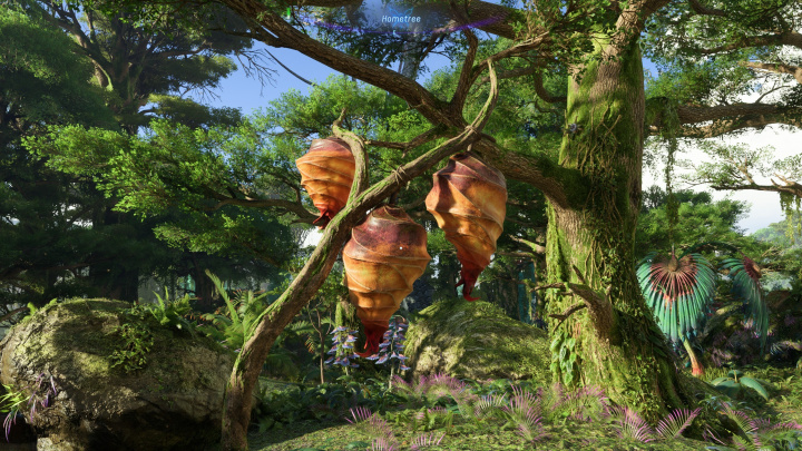 Avatar dostal 40 FPS režim na konzolích nové generace