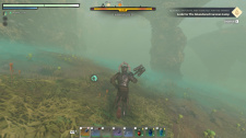 Enshrouded