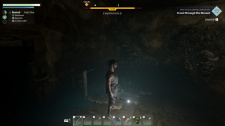 Enshrouded