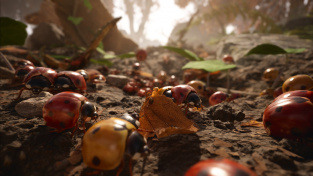Fotorealistické Empire of the Ants slibuje velkou strategii v maličké říši mravenců