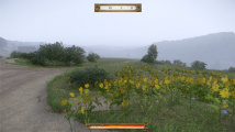 Kingdom Come: Deliverance – Switch