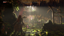 Horizon Forbidden West