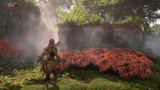 Horizon Forbidden West